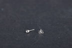 Tita - Prosthesis type Partial Vario Campana (PORP)