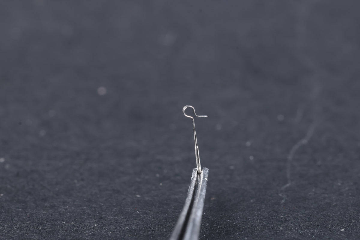 Tita-prosthesis Piston type Loop (PISTON)