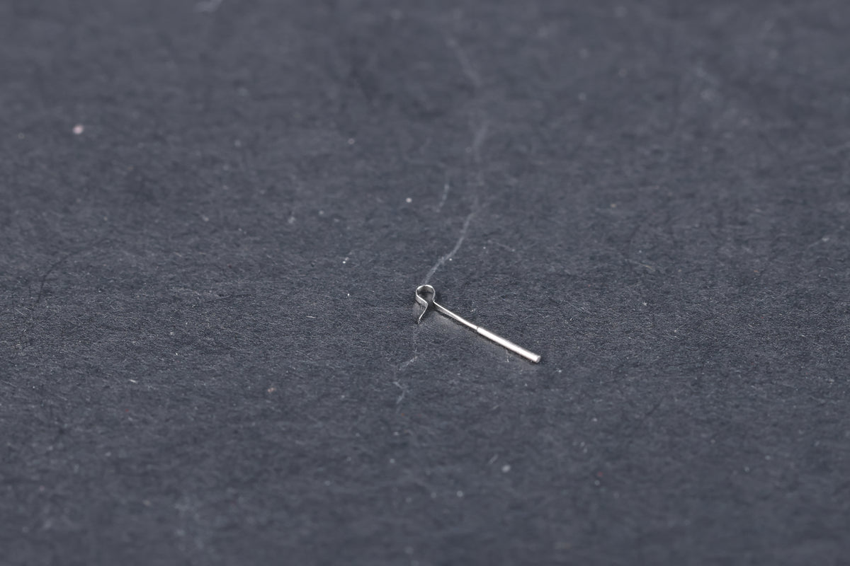Tita-prosthesis Piston type Loop (PISTON)